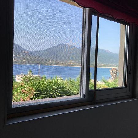 T3 Propriano Pied Dans L'Eau Apartment Екстериор снимка